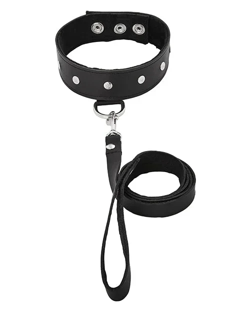 LEATHER LEASH & COLLAR