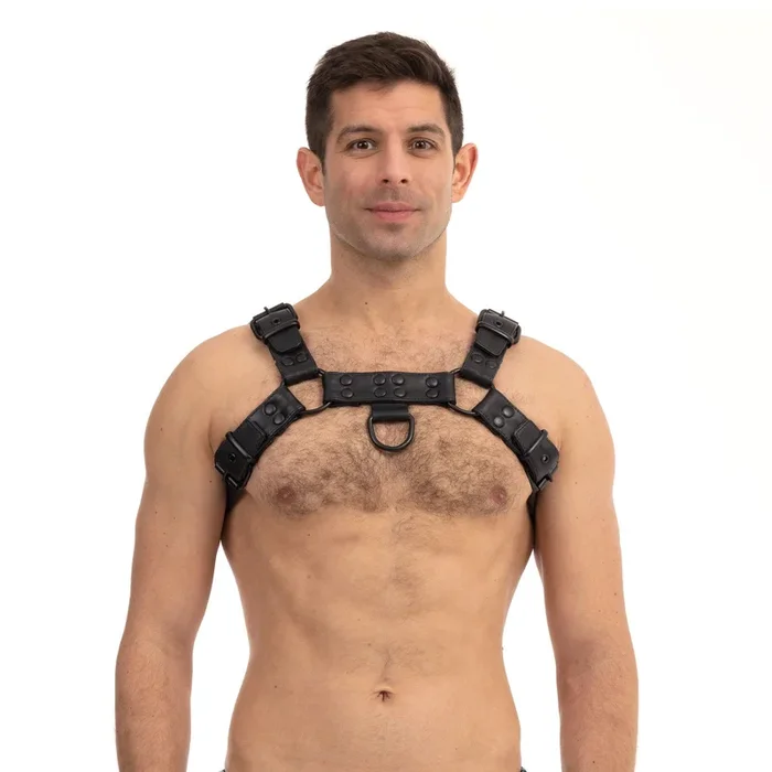Prowler RED Leather Noir Harness Black
